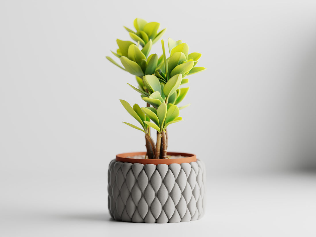 Tilani Planter