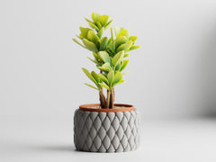 Tilani Planter