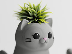 LeafyPaws Cat Planters – Set of 2 Cute Indoor Succulent Pots