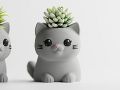 LeafyPaws Cat Planters – Set of 2 Cute Indoor Succulent Pots