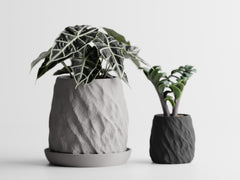 Mura Collection