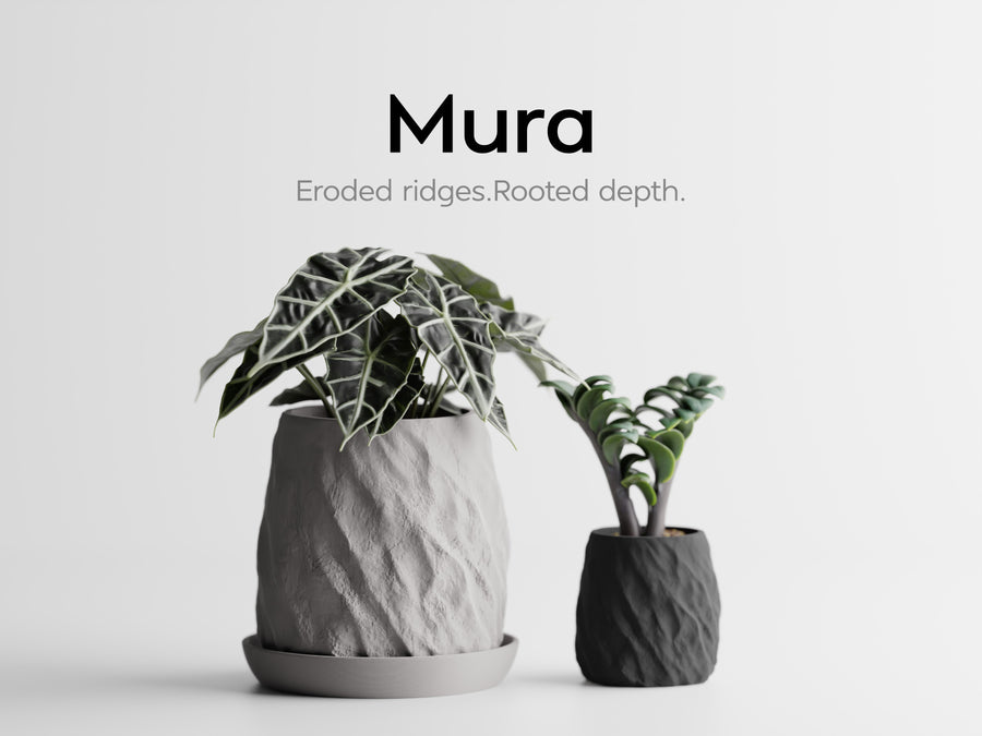 Mura Collection