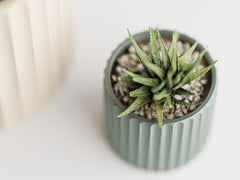 Muris Ribbed Indoor Planters